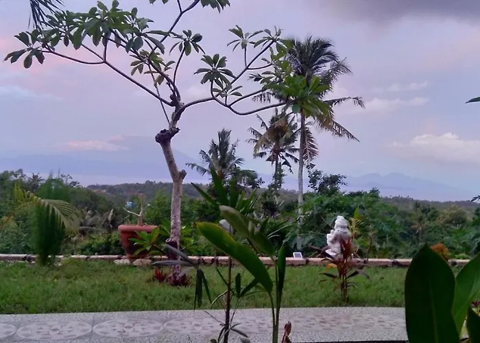 Guest house Mount Sea View 2*