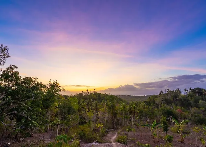 Mount Sea View